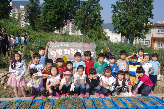 2014_아주초등학교_텃밭_체험활동_실시_사진자료